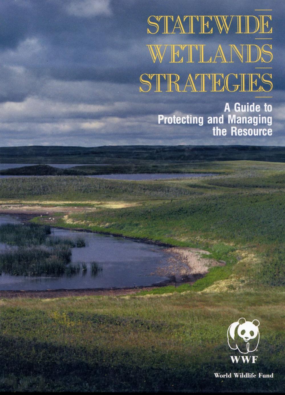 Big bigCover of Statewide Wetlands Strategies