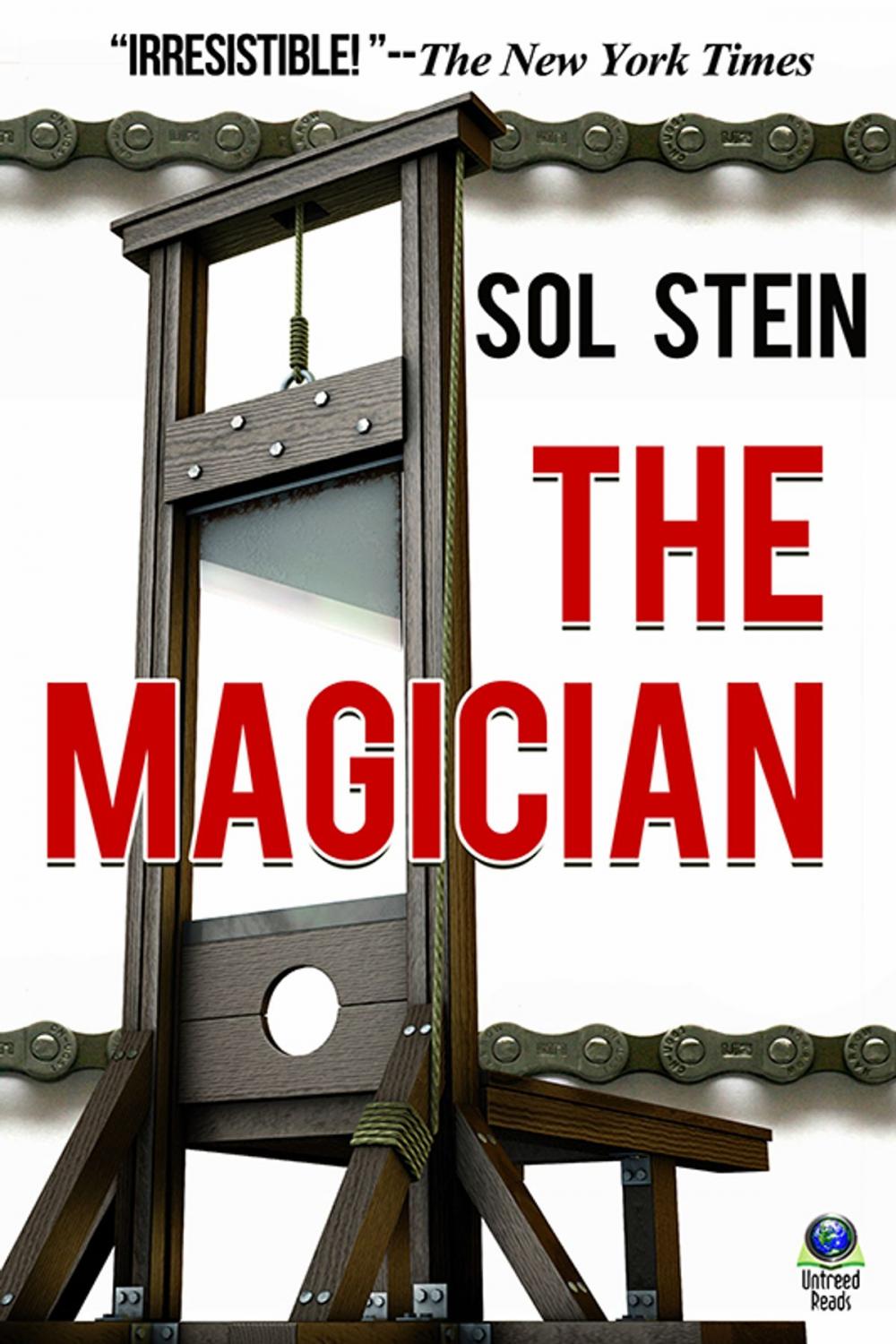 Big bigCover of The Magician