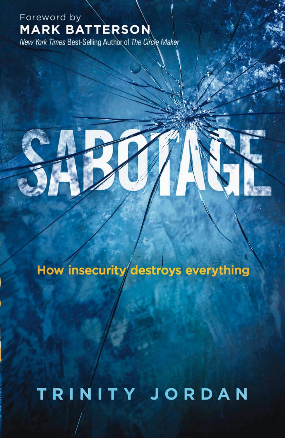 Big bigCover of Sabotage