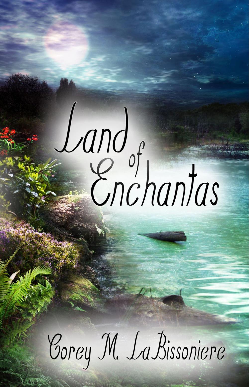 Big bigCover of Land of Enchantas