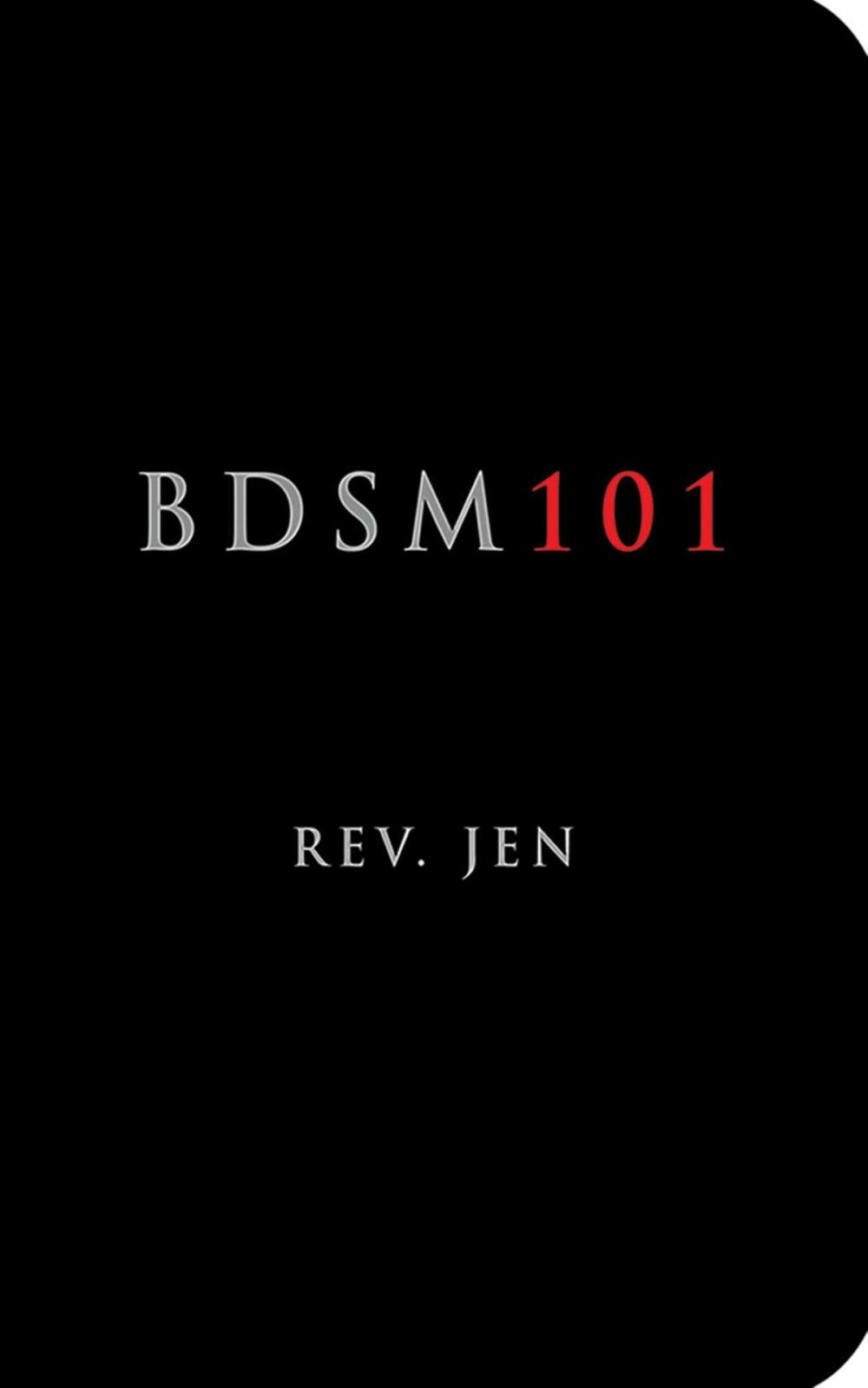 Big bigCover of BDSM 101