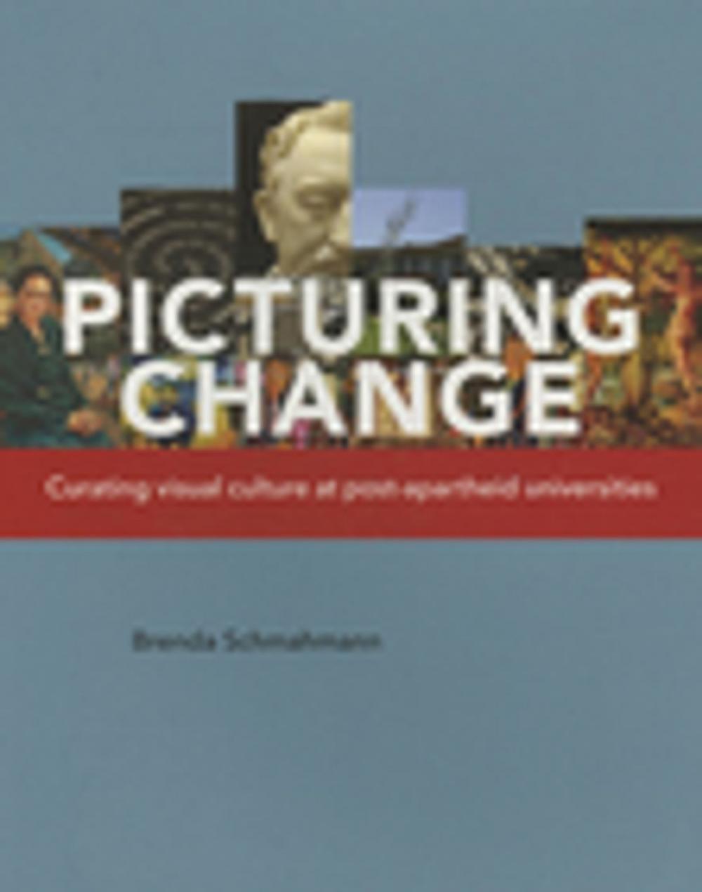 Big bigCover of Picturing Change