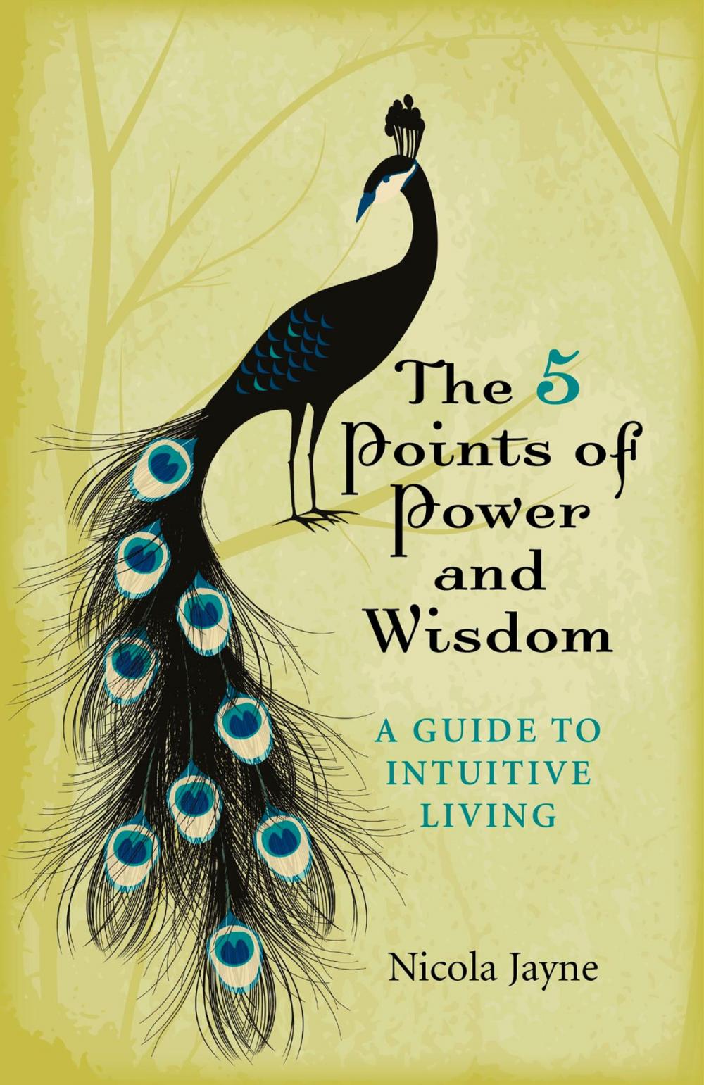 Big bigCover of The 5 Points of Power and Wisdom