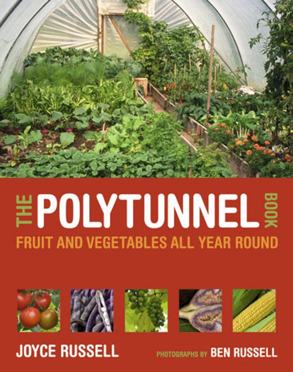 Big bigCover of The Polytunnel Book