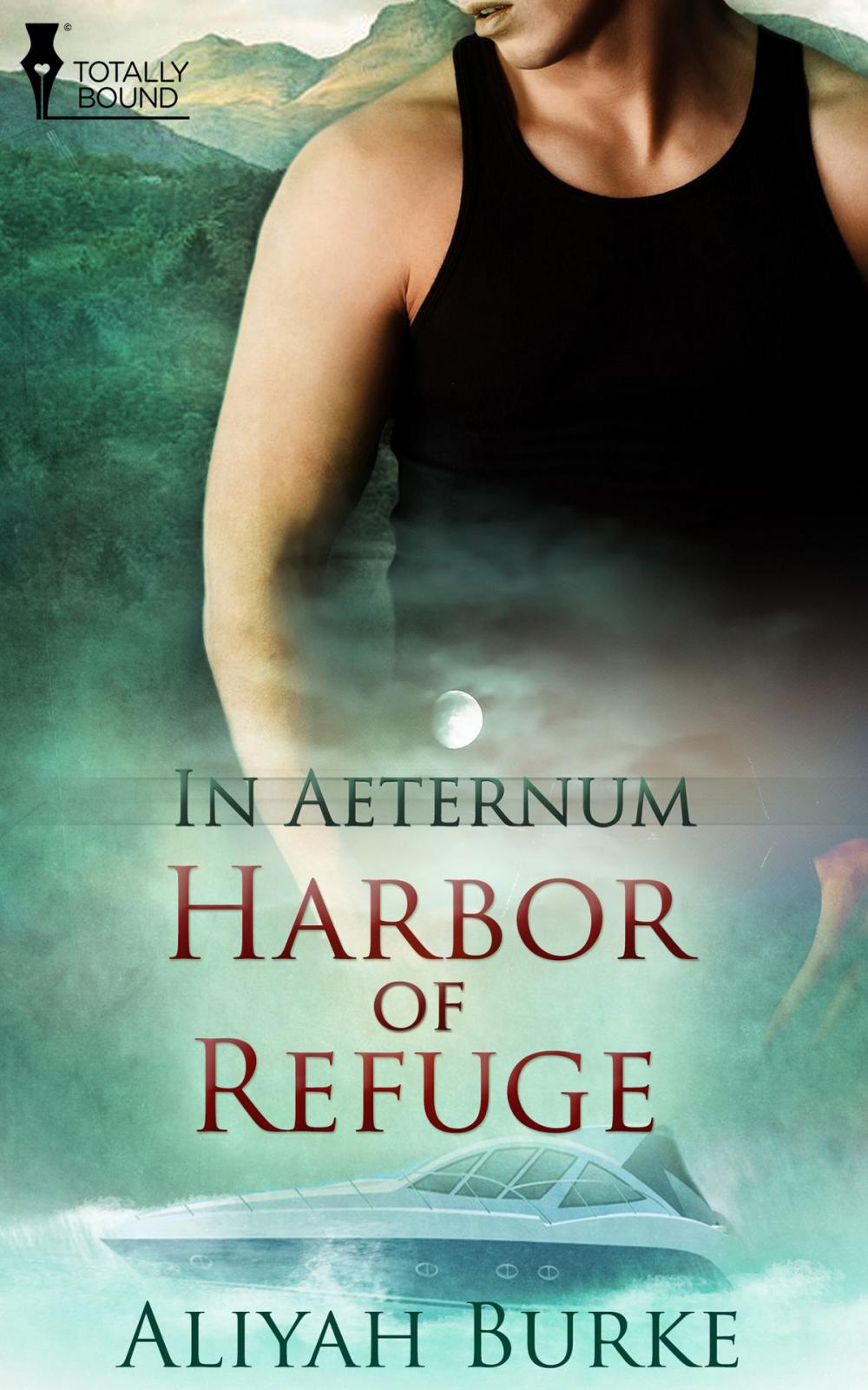 Big bigCover of Harbour of Refuge