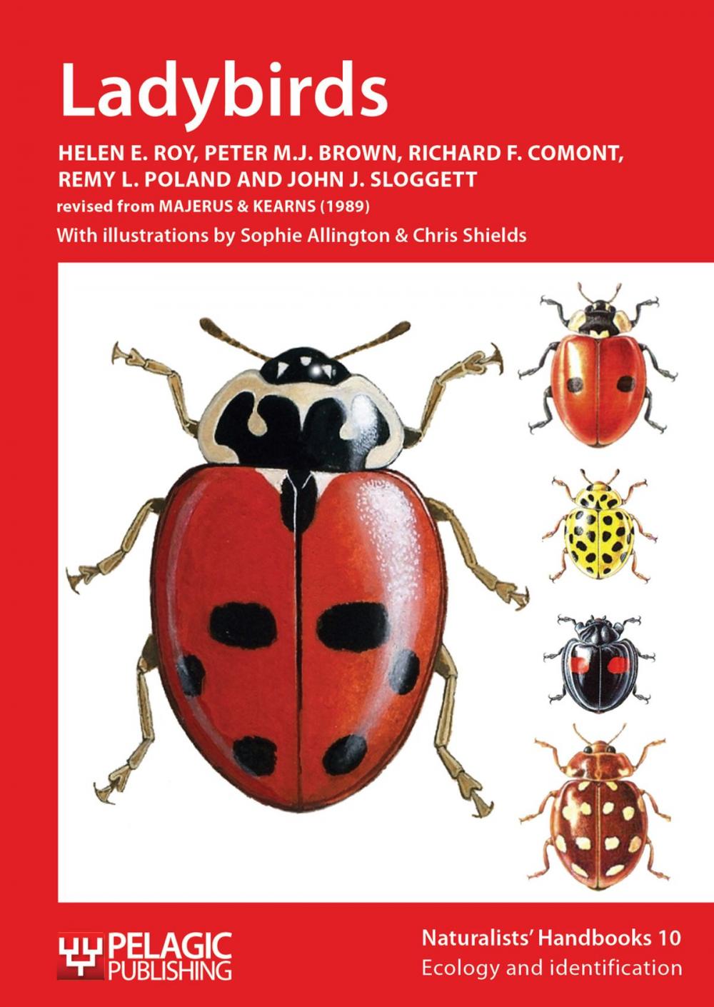 Big bigCover of Ladybirds