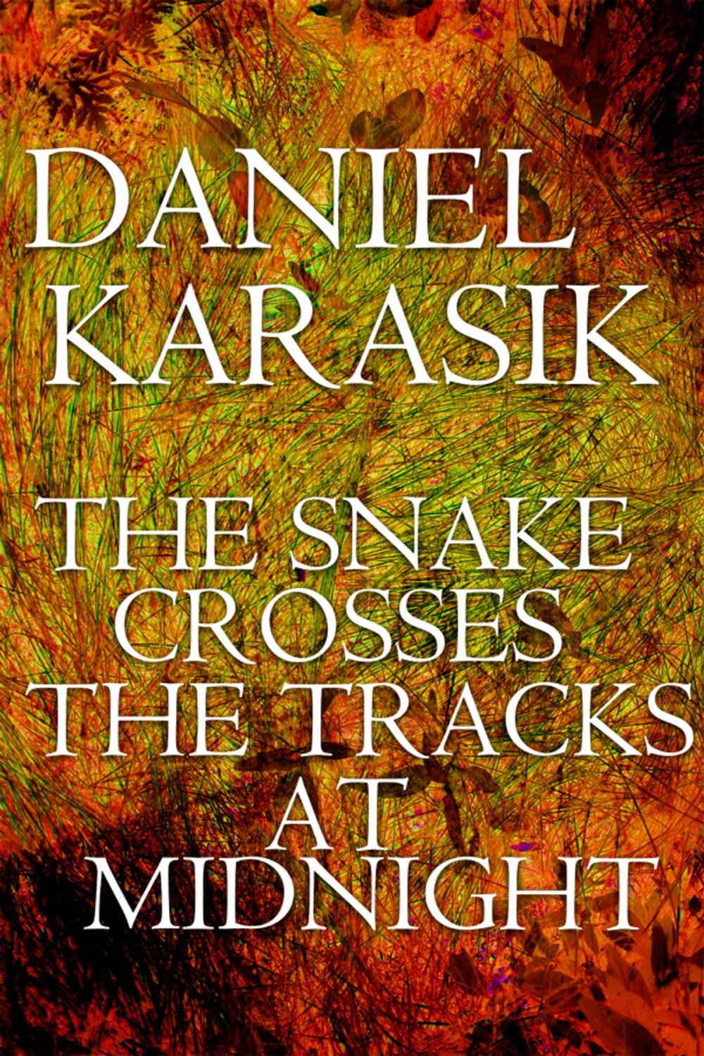 Big bigCover of The Snake Crosses the Tracks at Midnight