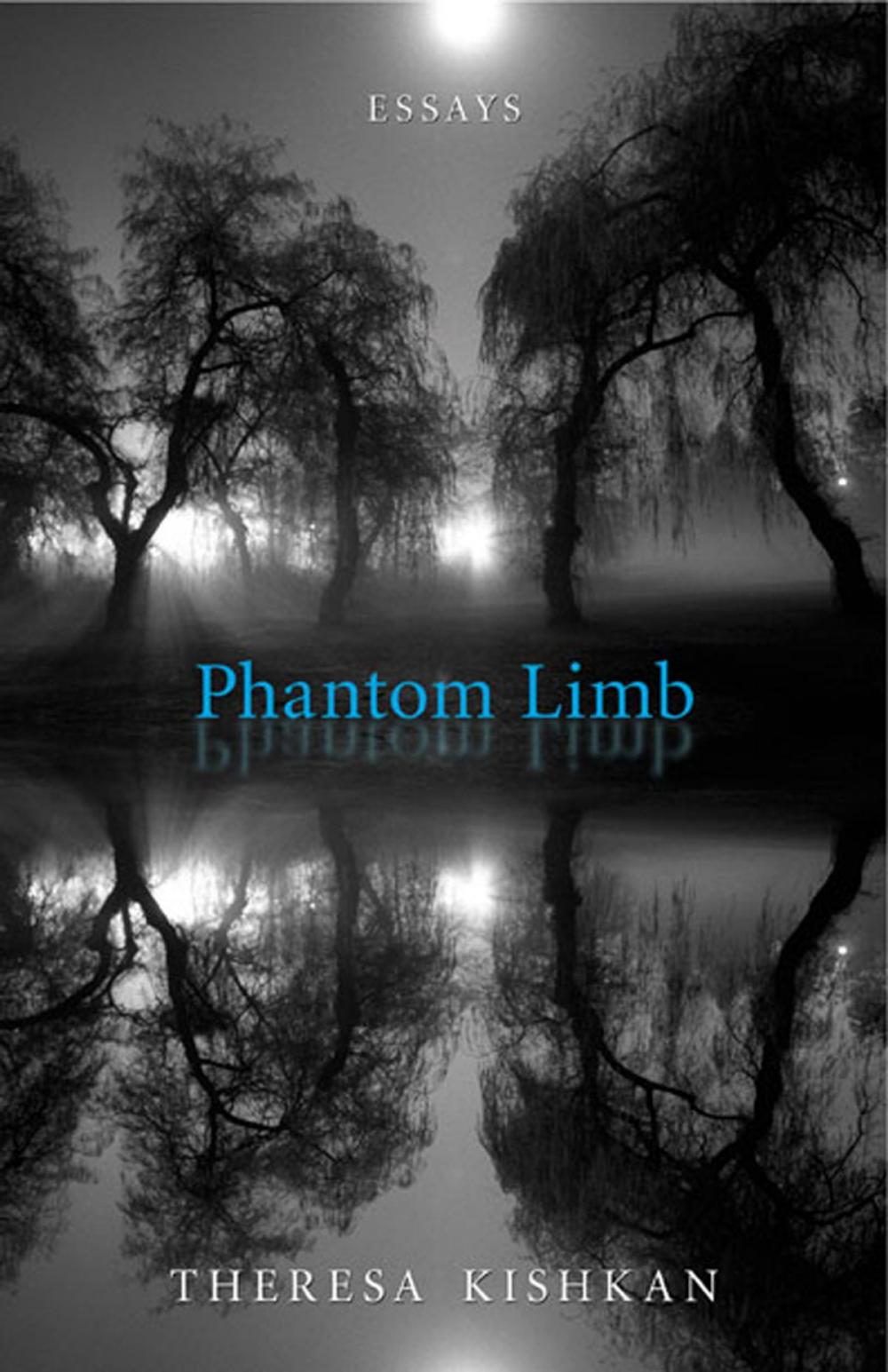 Big bigCover of Phantom Limb