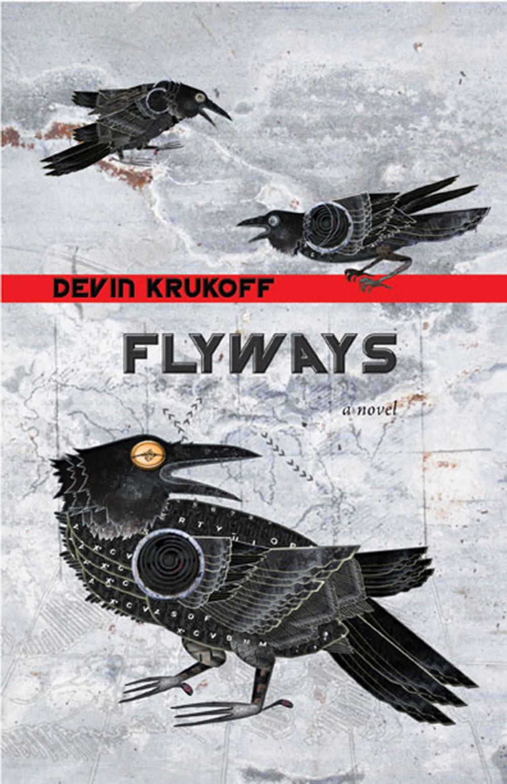 Big bigCover of Flyways