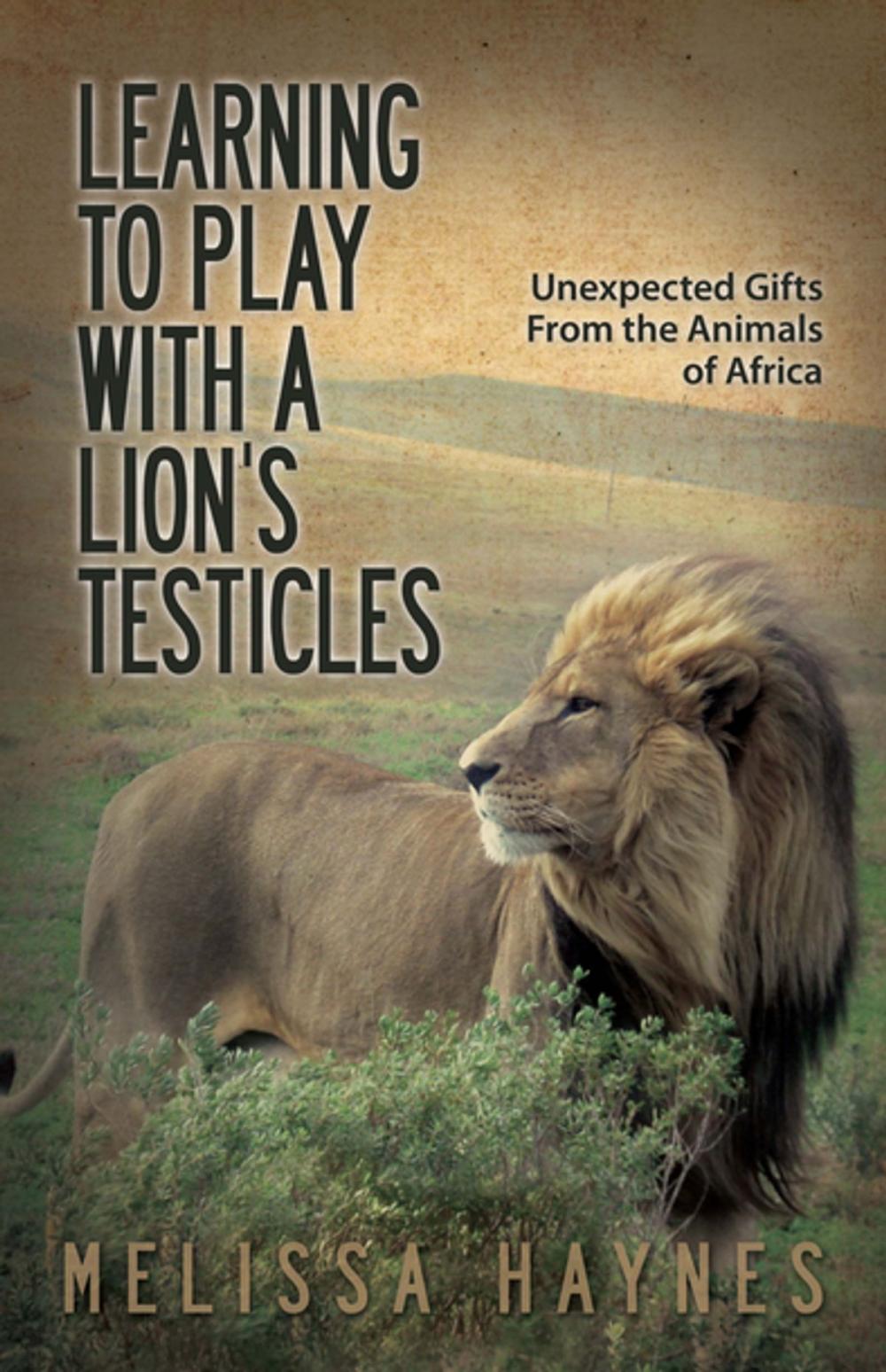 Big bigCover of Learning to Play With a Lion?s Testicles