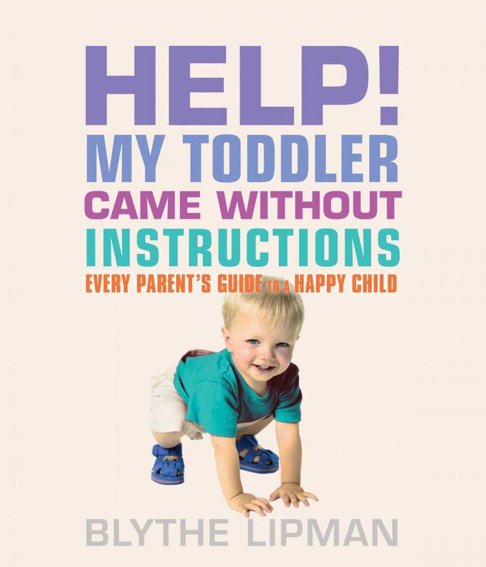 Big bigCover of Help! My Toddler Came Without Instructions