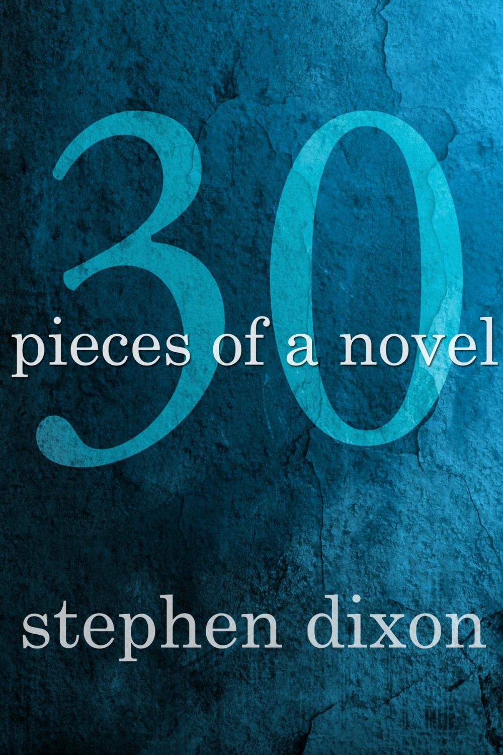 Big bigCover of 30 Pieces of a Novel