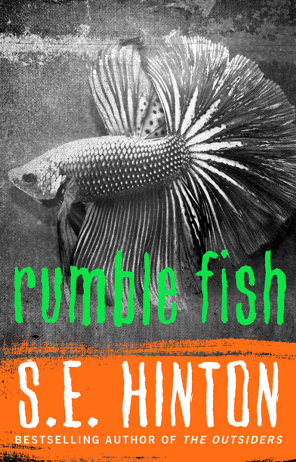 Big bigCover of Rumble Fish