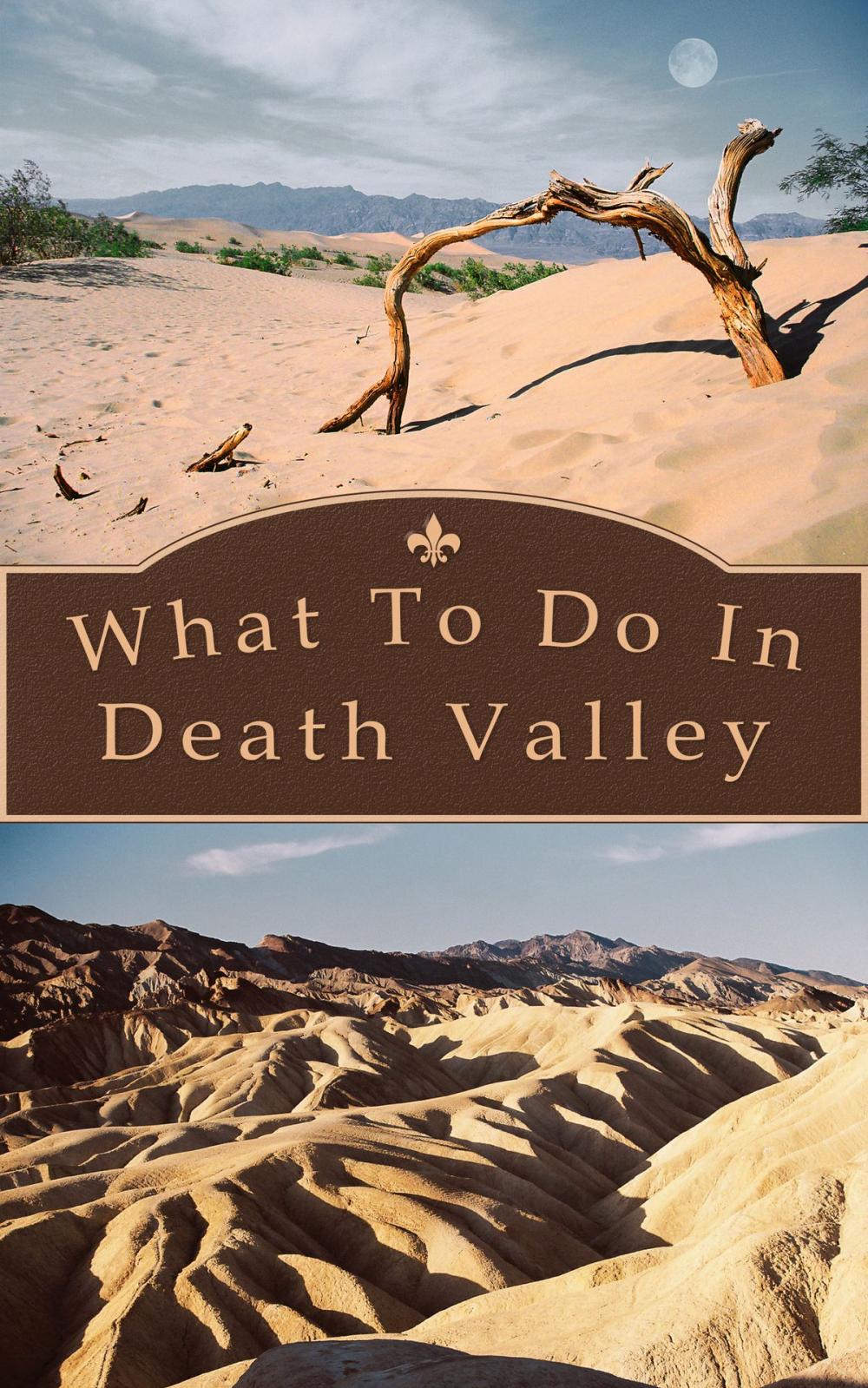 Big bigCover of What To Do In Death Valley