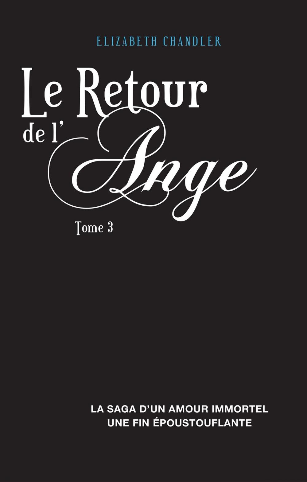 Big bigCover of Le Retour de l'ange 3