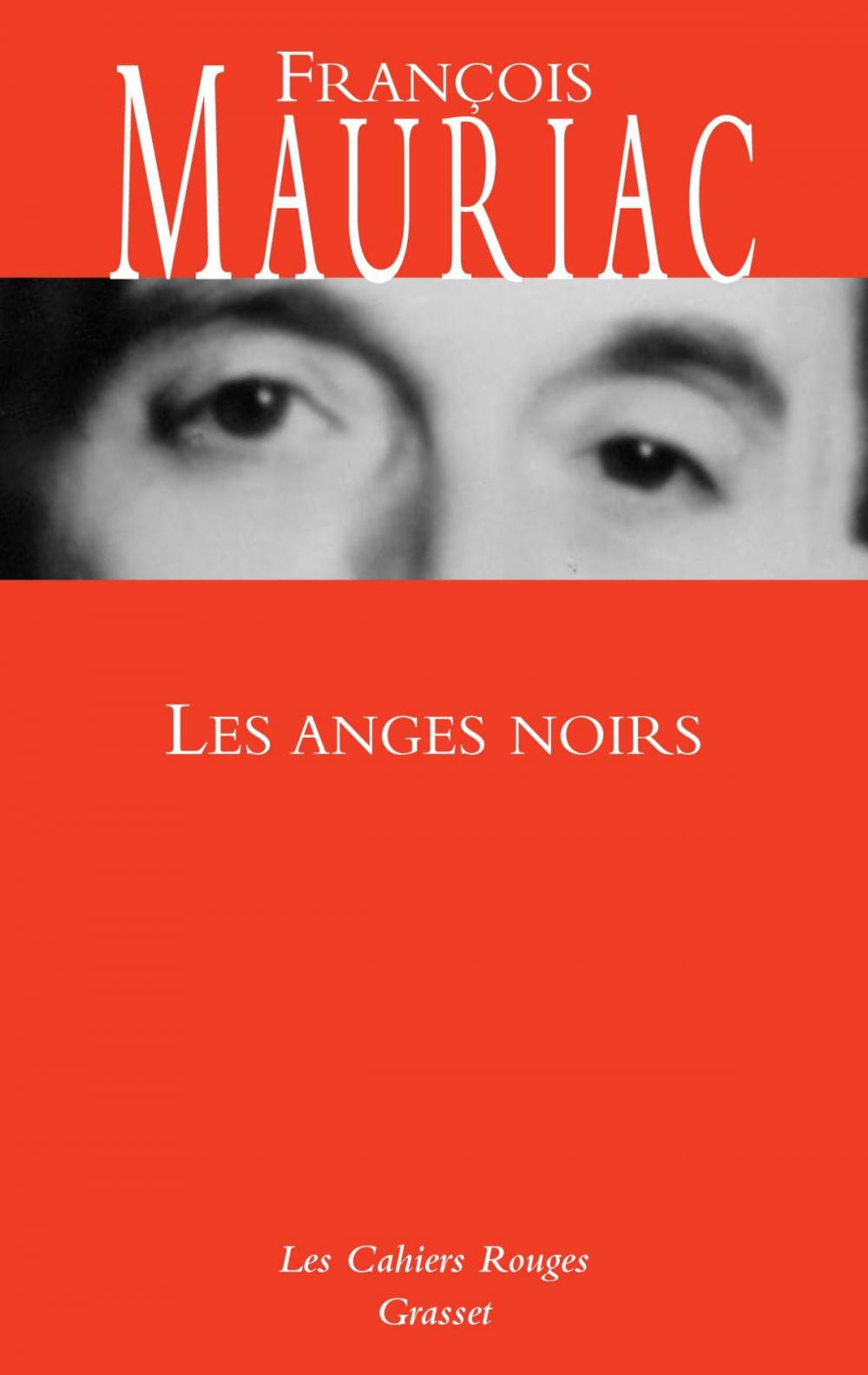 Big bigCover of Les anges noirs