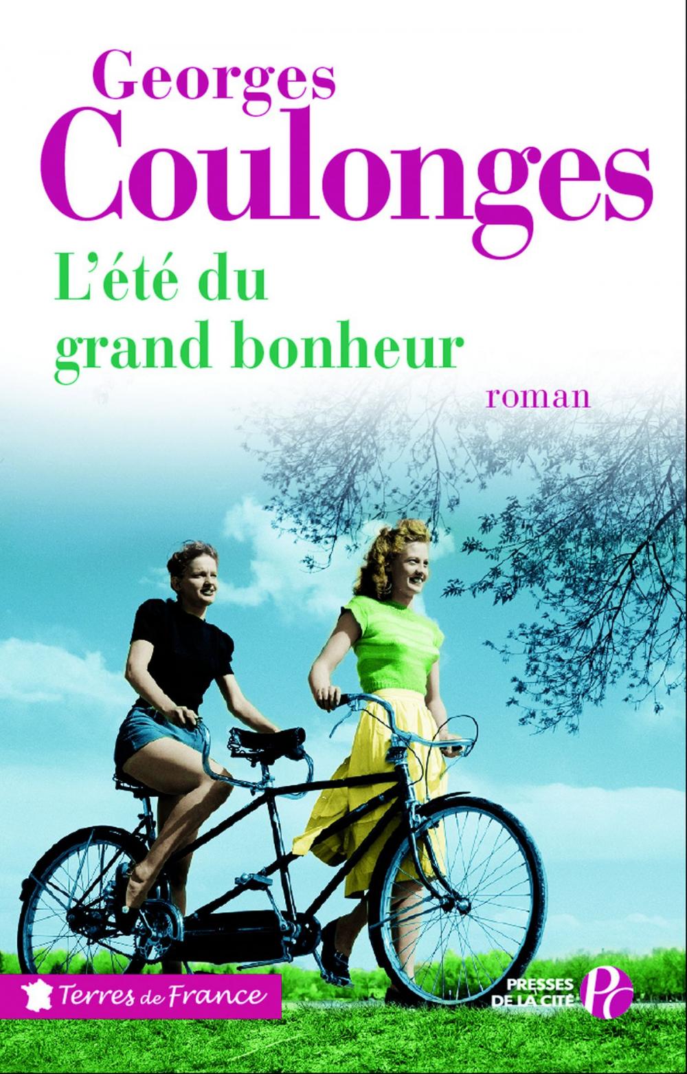 Big bigCover of L'Eté du grand bonheur