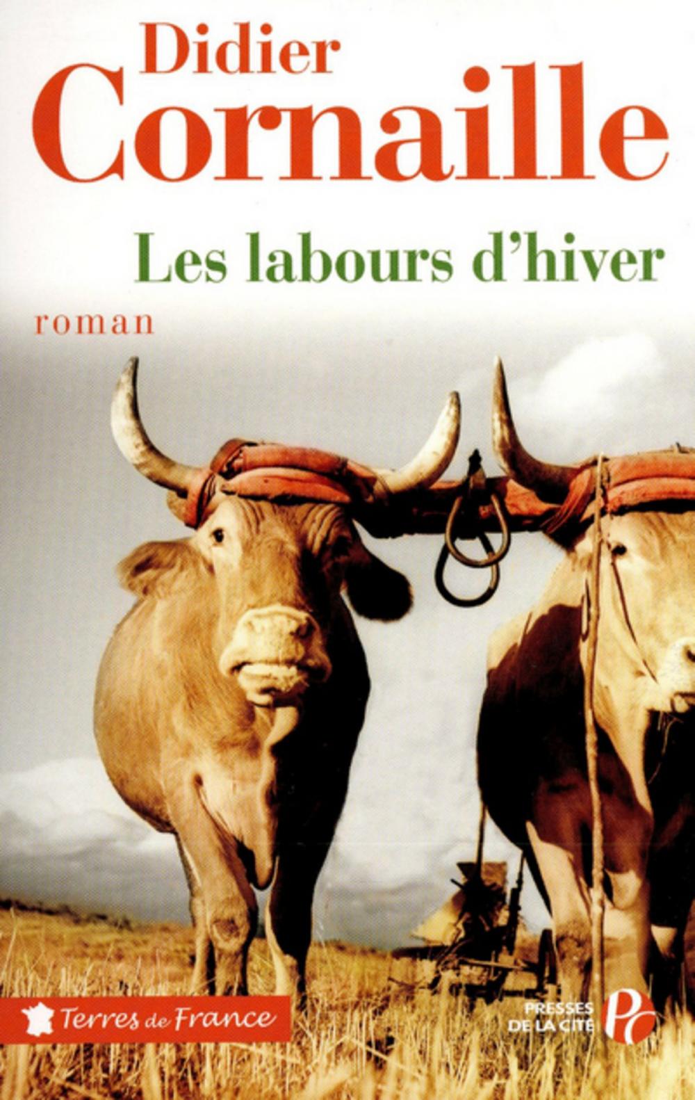 Big bigCover of Les labours d'hiver