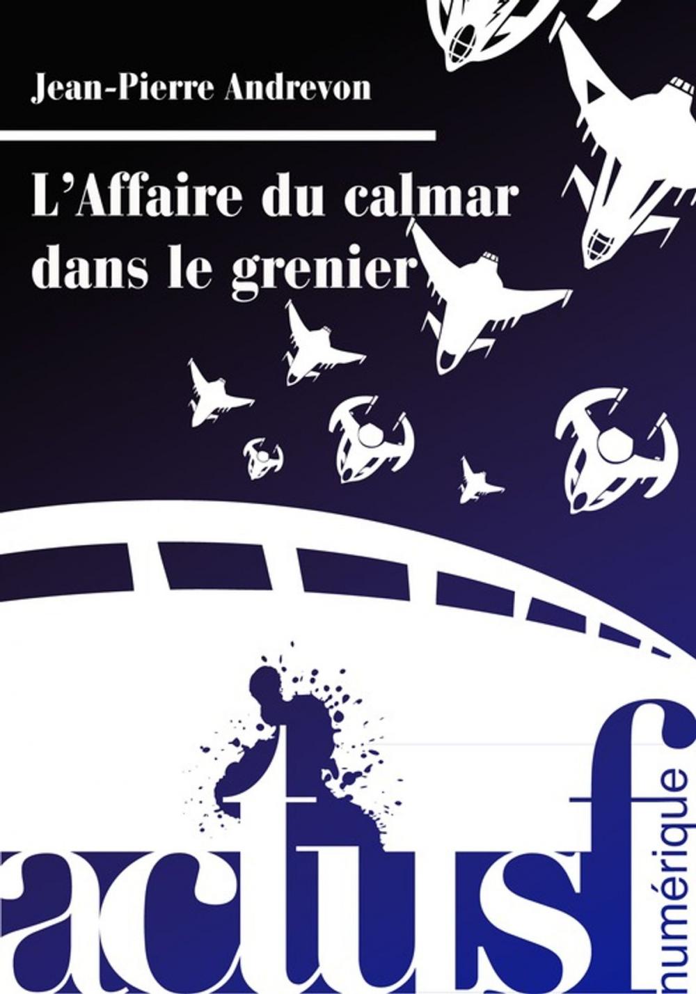 Big bigCover of L'Affaire du calmar dans le grenier