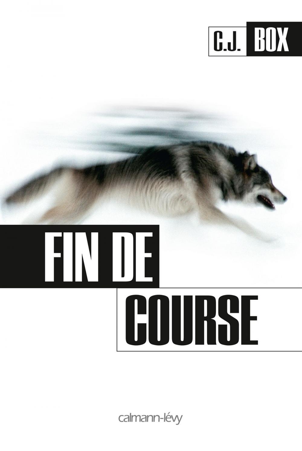 Big bigCover of Fin de course