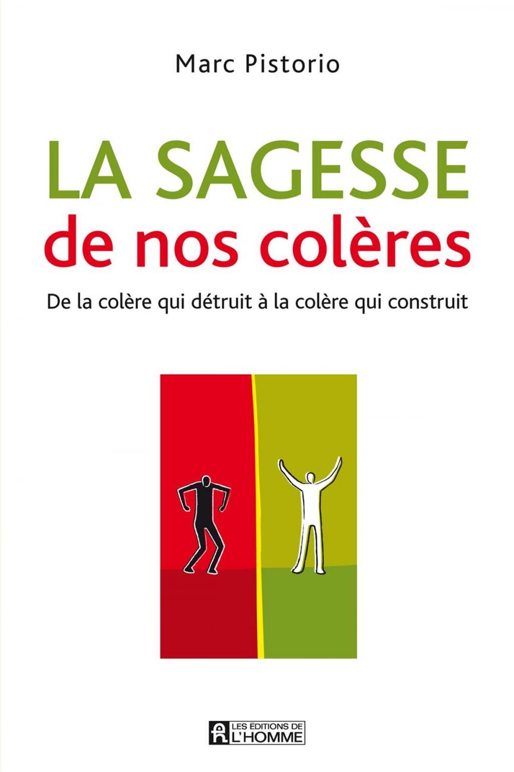 Big bigCover of La sagesse de nos colères