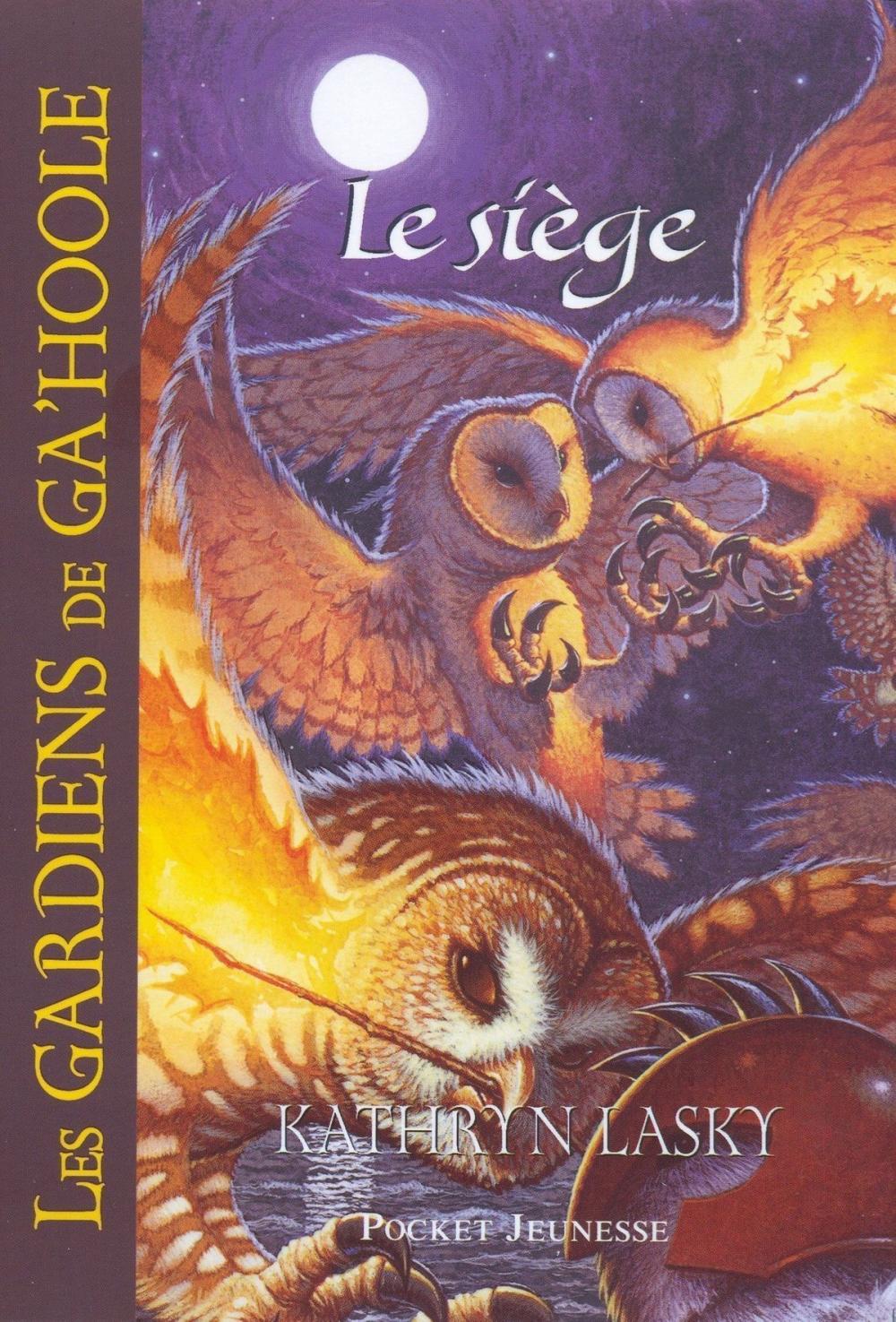 Big bigCover of Les Gardiens de Ga'Hoole - tome 4