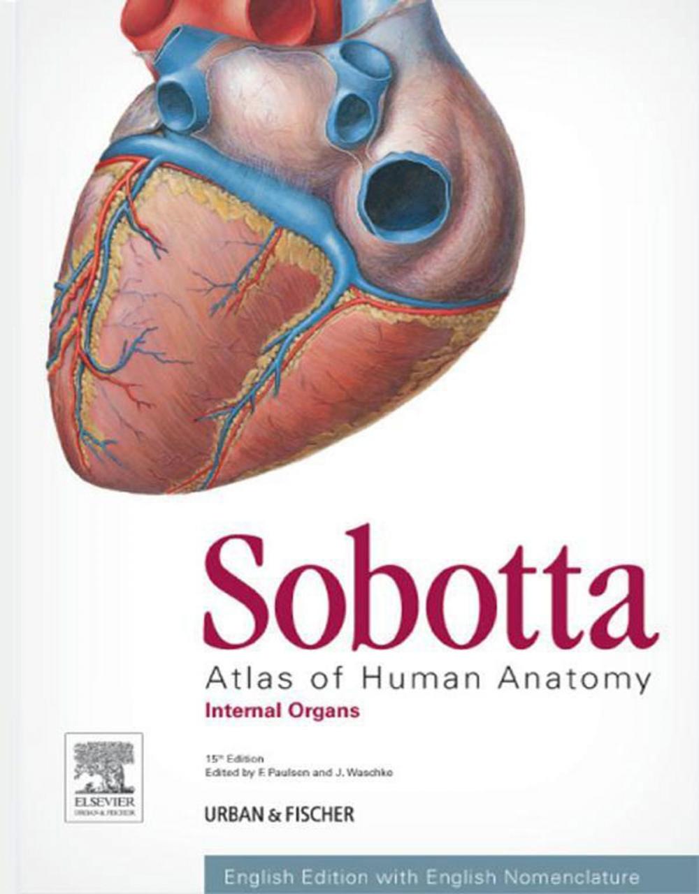 Big bigCover of Sobotta Atlas of Human Anatomy, Vol. 2, 15th ed., English