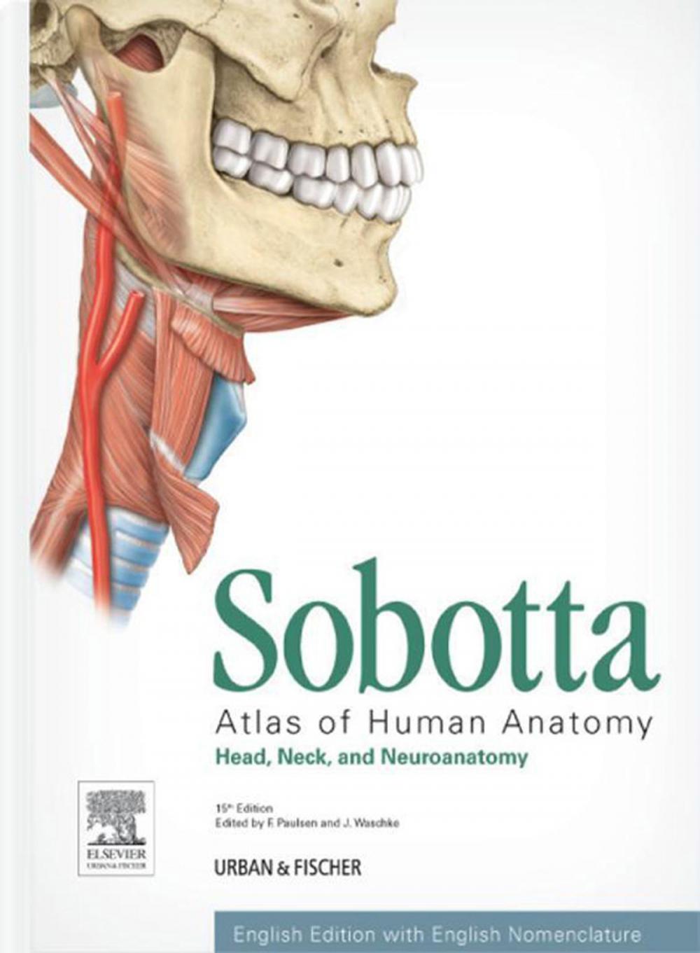 Big bigCover of Sobotta Atlas of Human Anatomy, Vol. 3, 15th ed., English