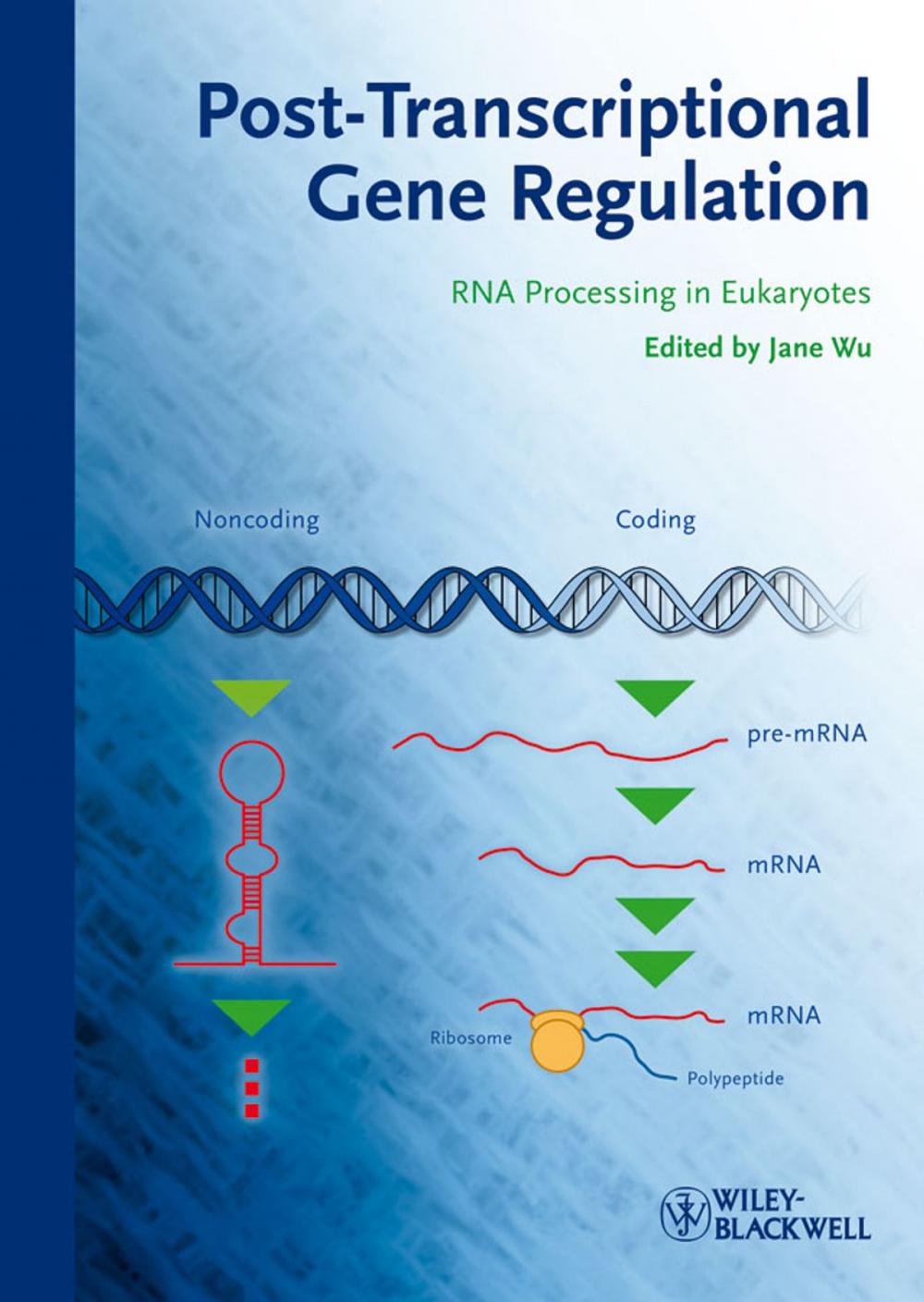 Big bigCover of Post-Transcriptional Gene Regulation