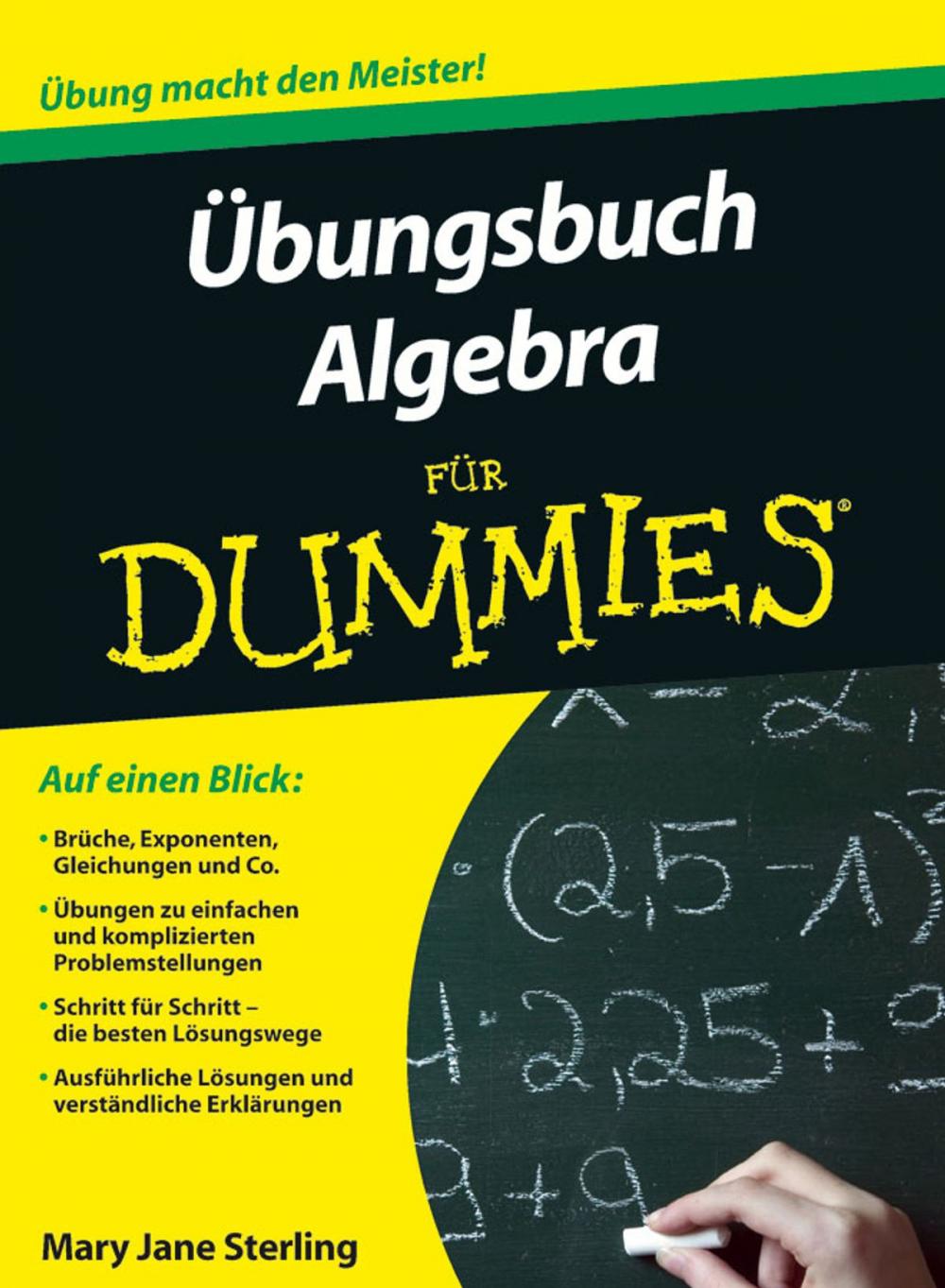 Big bigCover of Ubungsbuch Algebra fur Dummies