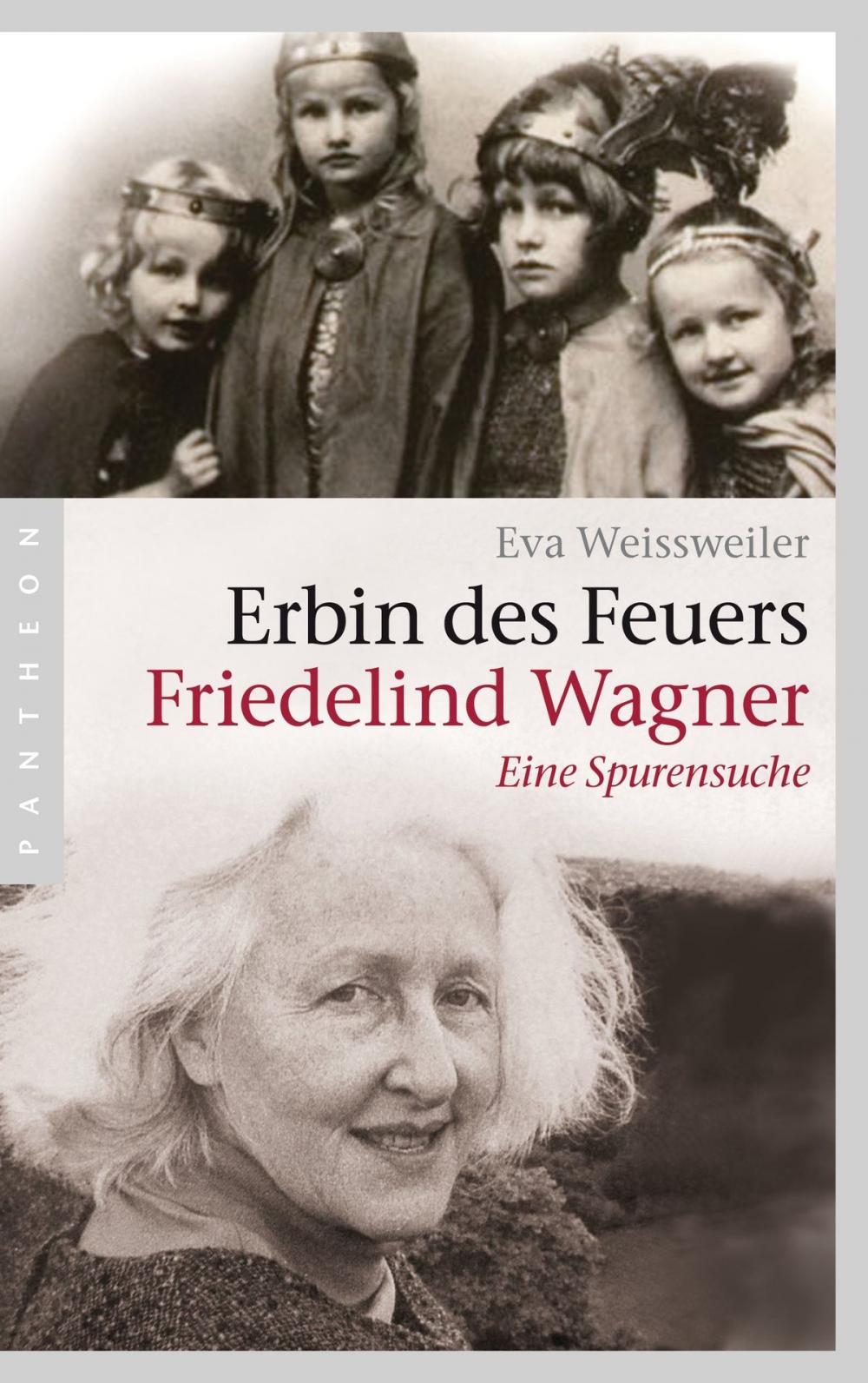 Big bigCover of Erbin des Feuers