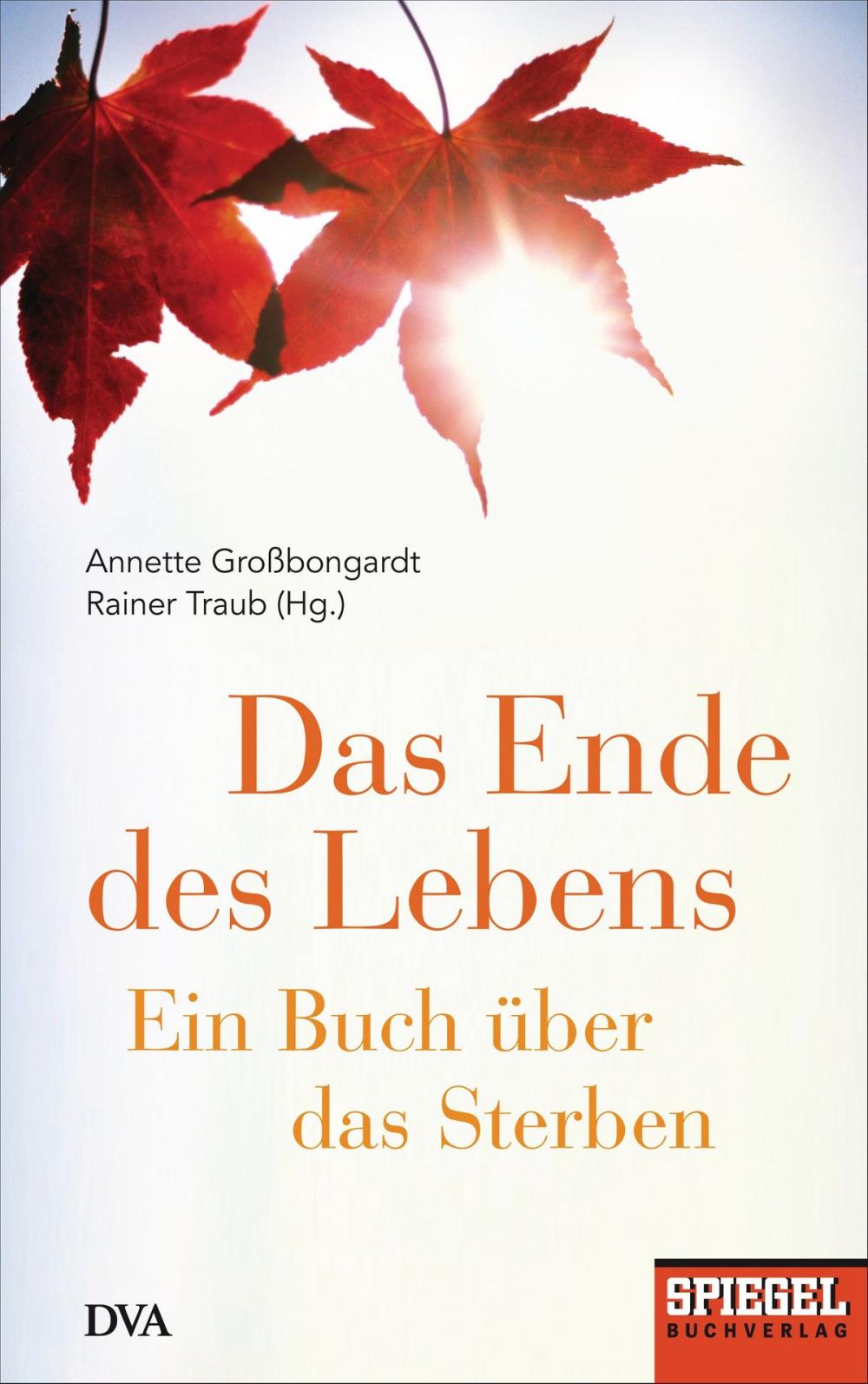 Big bigCover of Das Ende des Lebens