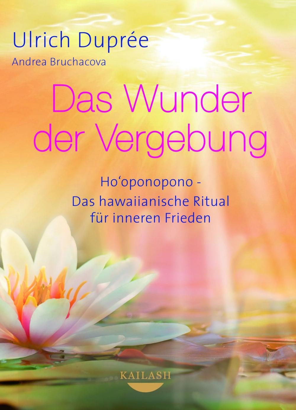 Big bigCover of Das Wunder der Vergebung