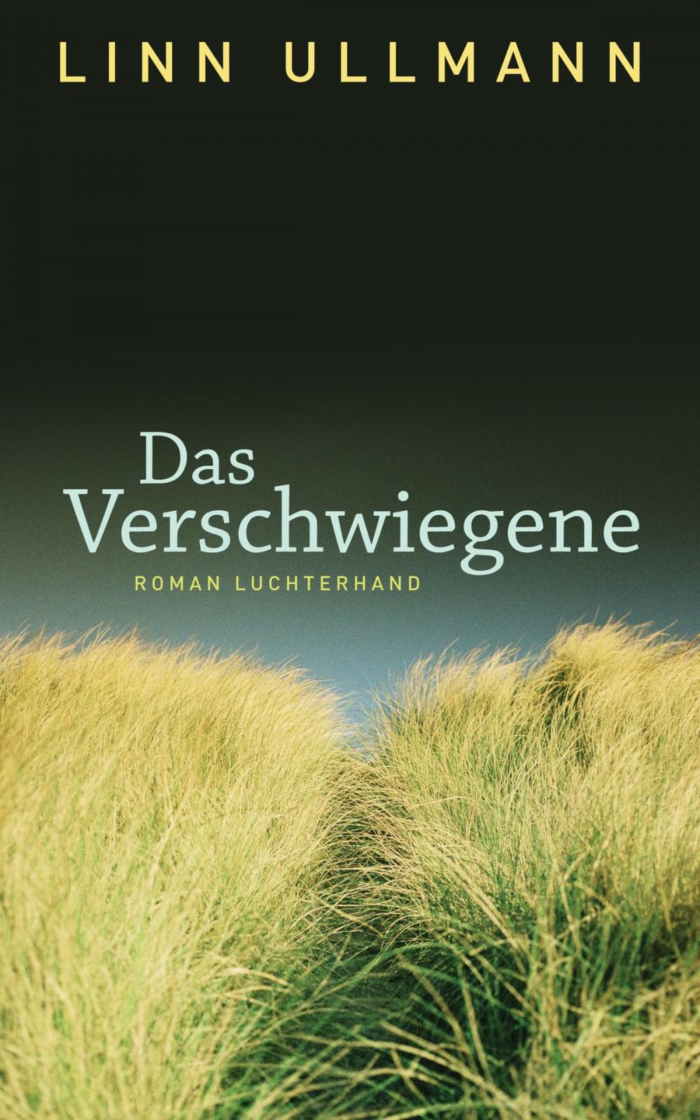 Big bigCover of Das Verschwiegene