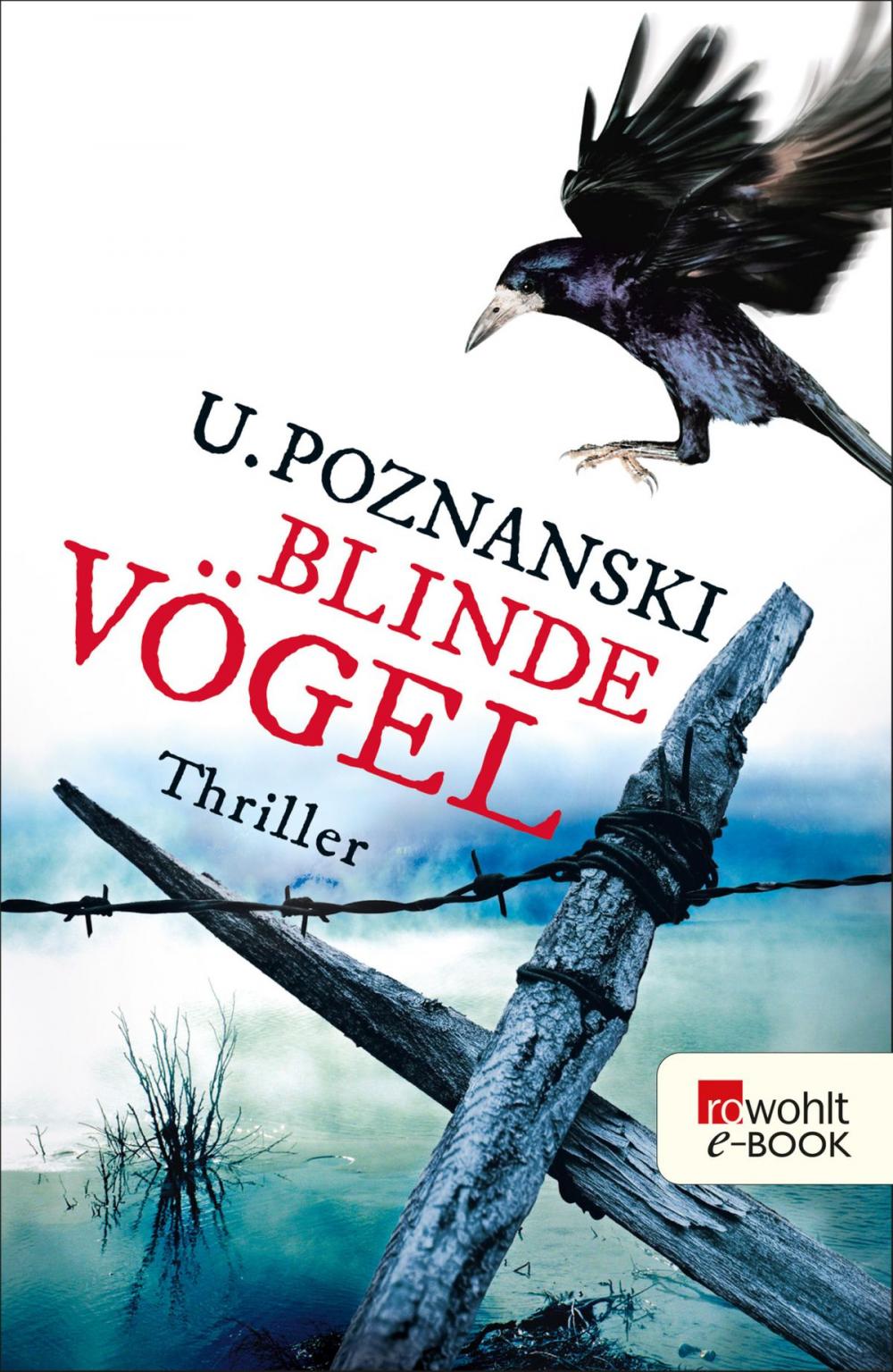 Big bigCover of Blinde Vögel