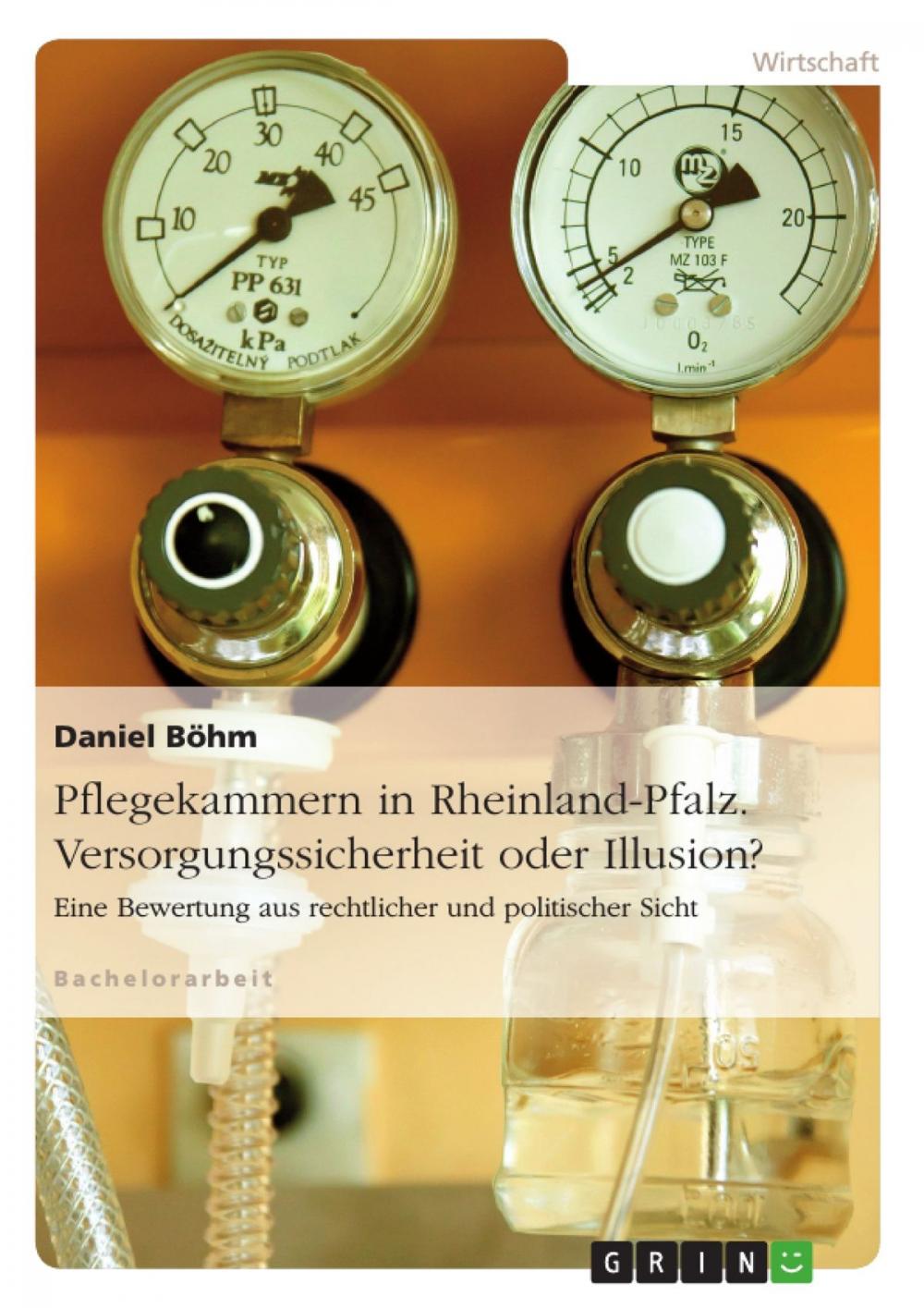 Big bigCover of Pflegekammern in Rheinland-Pfalz. Versorgungssicherheit oder Illusion?