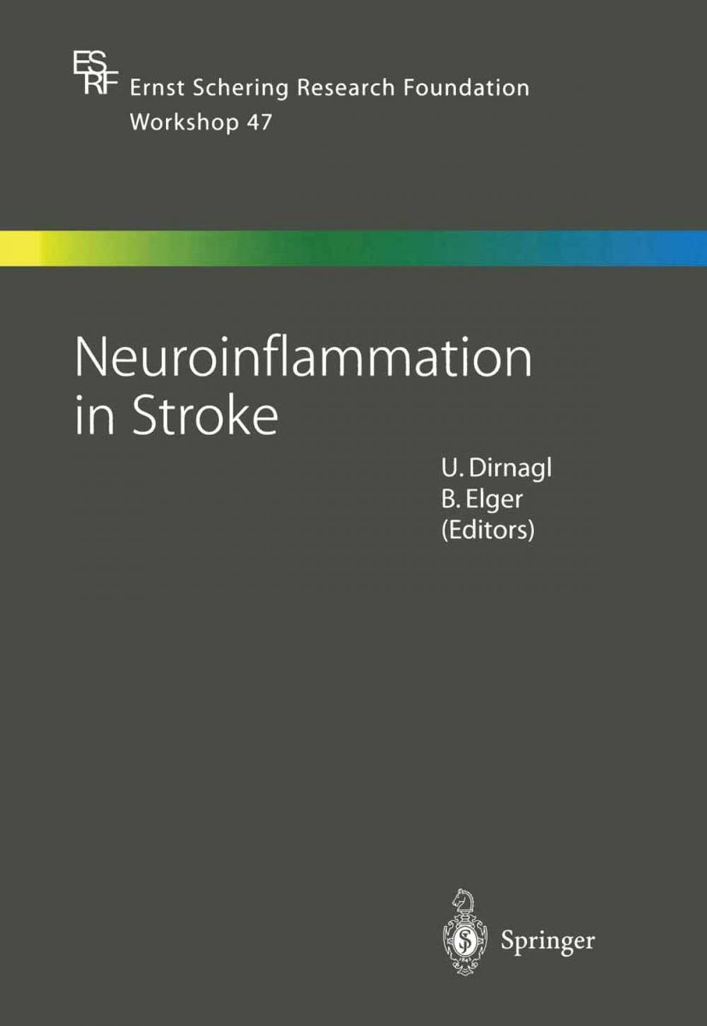 Big bigCover of Neuroinflammation in Stroke