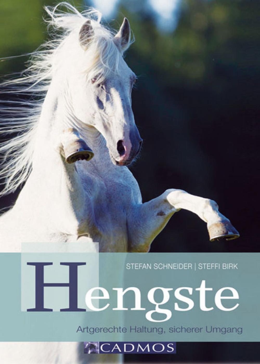 Big bigCover of Hengste