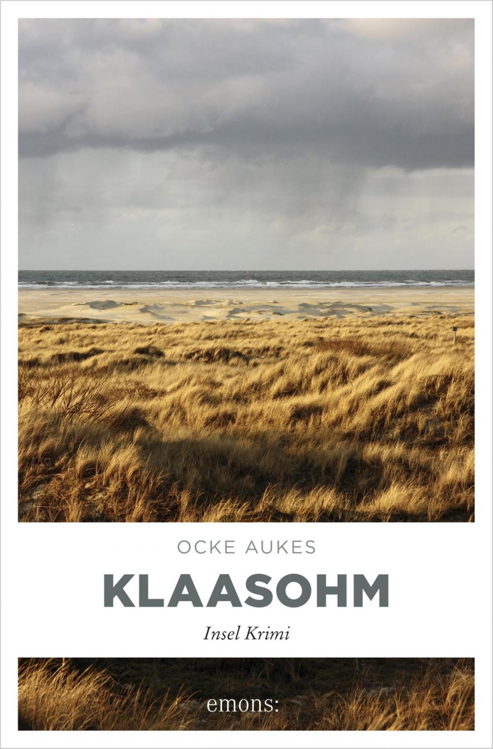 Big bigCover of Klaasohm