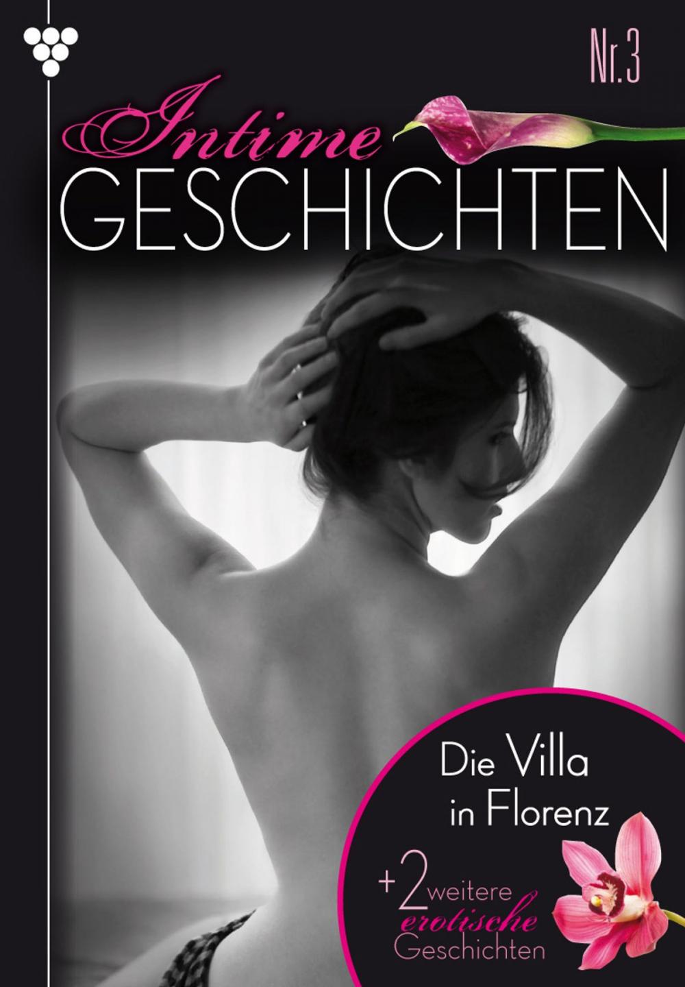 Big bigCover of Intime Geschichten 3 – Erotikroman