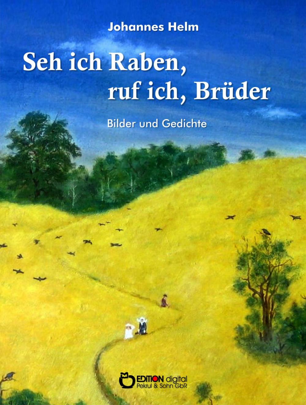 Big bigCover of Seh ich Raben, ruf ich, Brüder