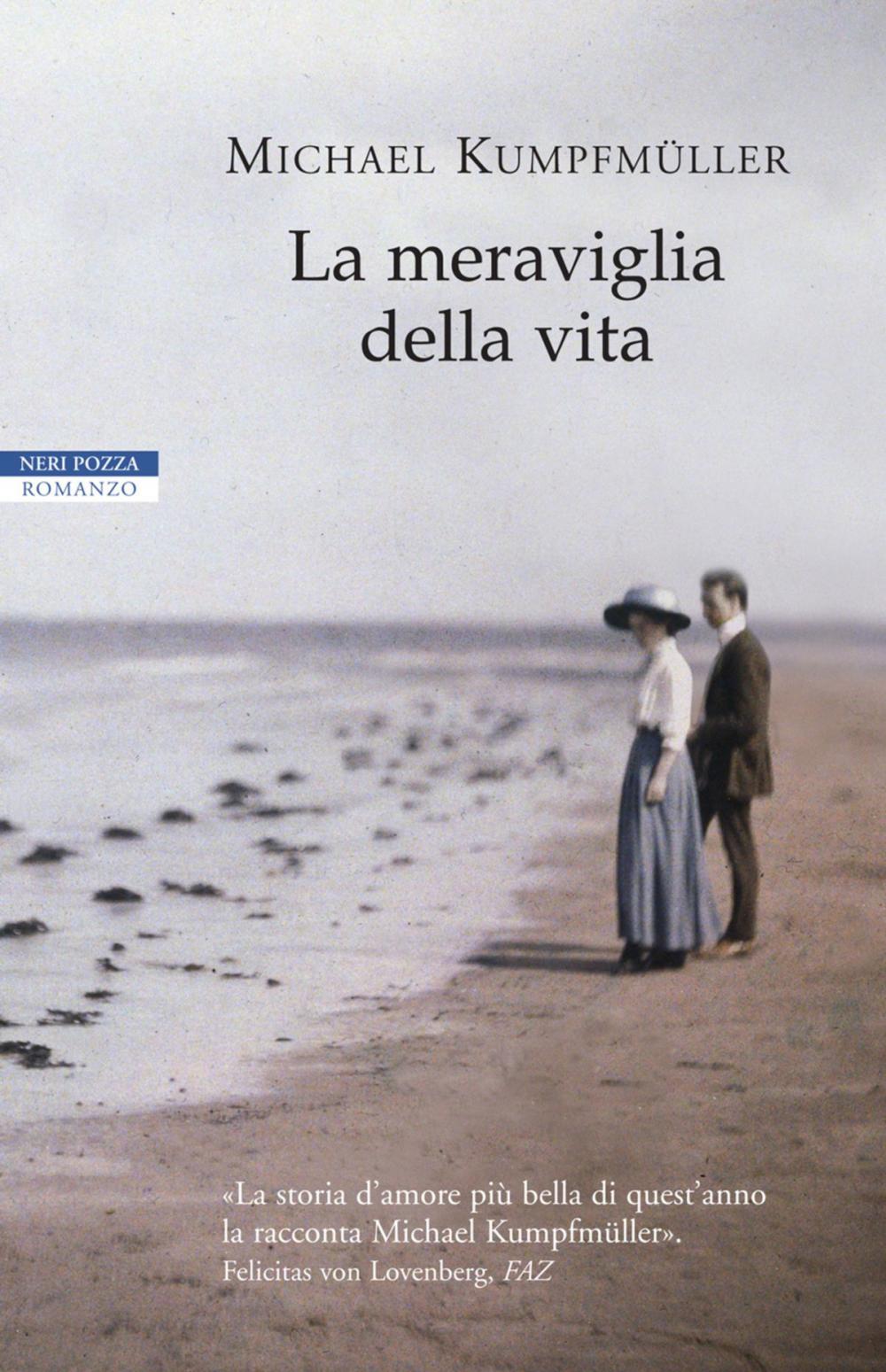 Big bigCover of La meraviglia della vita