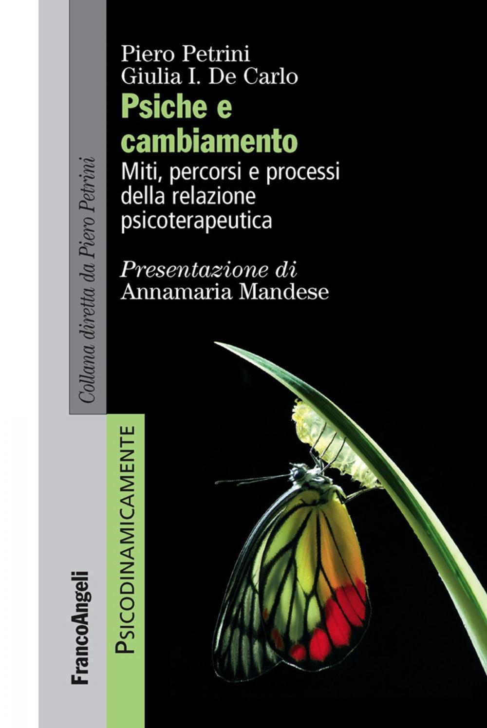 Big bigCover of Psiche e cambiamento. Miti, percorsi e processi della relazione psicoterapeutica