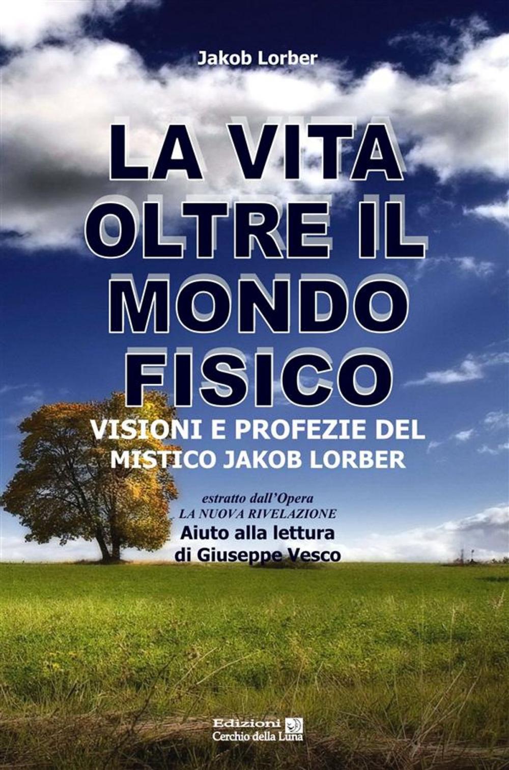 Big bigCover of La vita oltre il mondo fisico