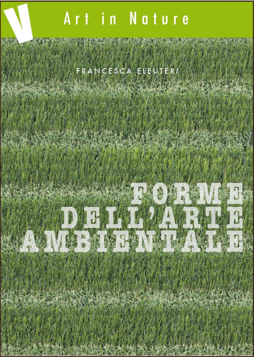 Big bigCover of Forme dell'arte ambientale