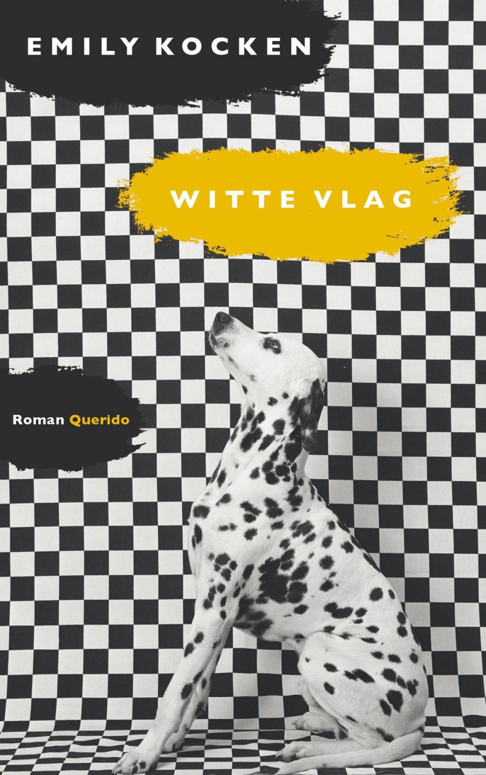 Big bigCover of Witte vlag