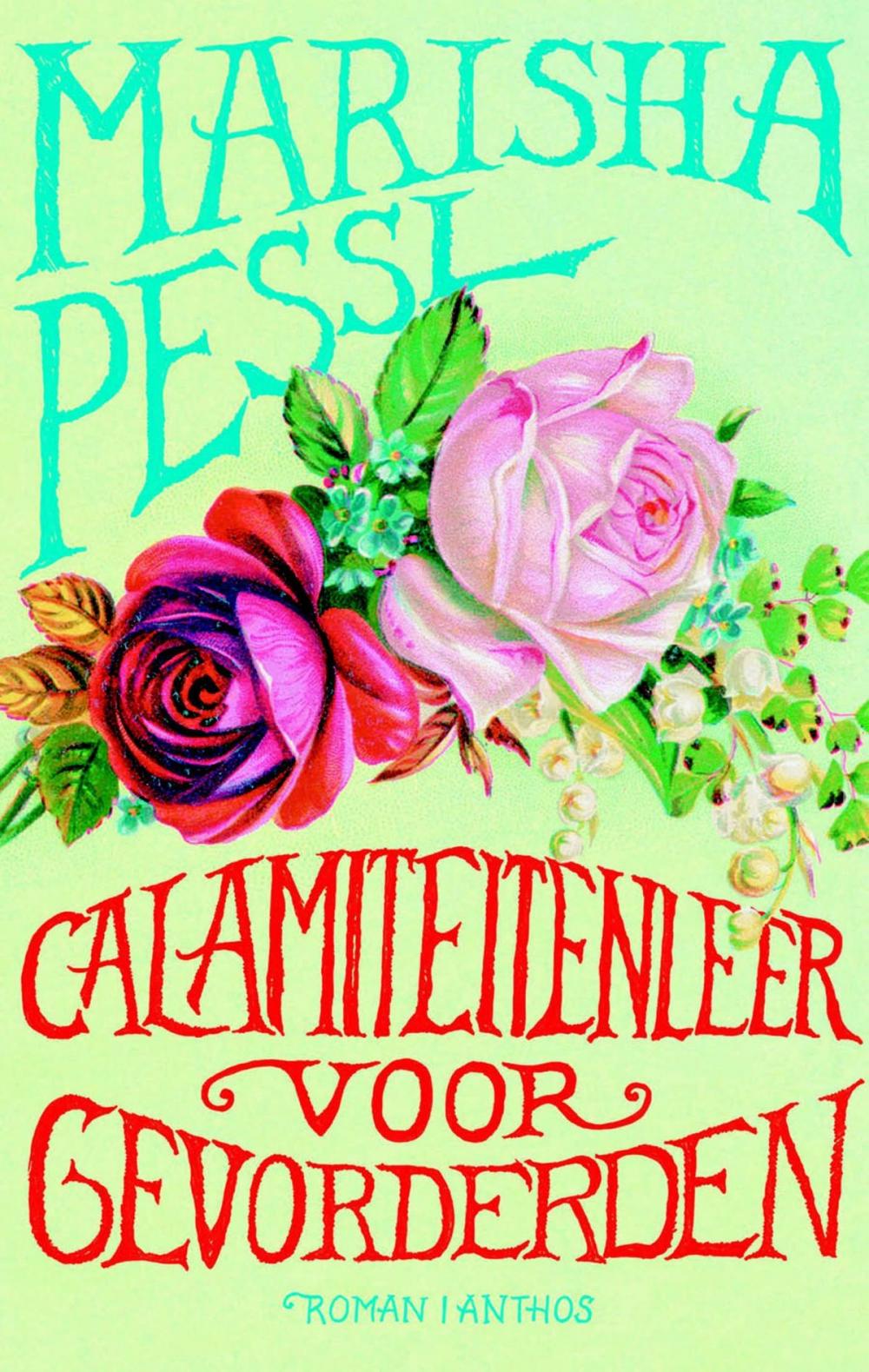 Big bigCover of Calamiteitenleer voor gevorderden