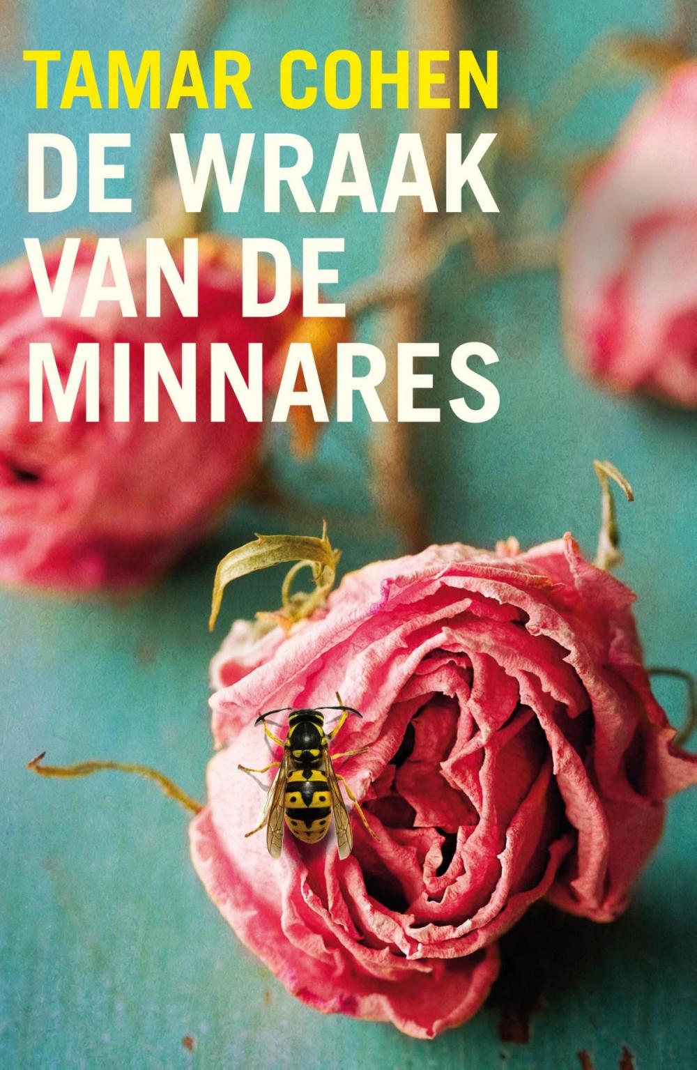 Big bigCover of De wraak van de minnares