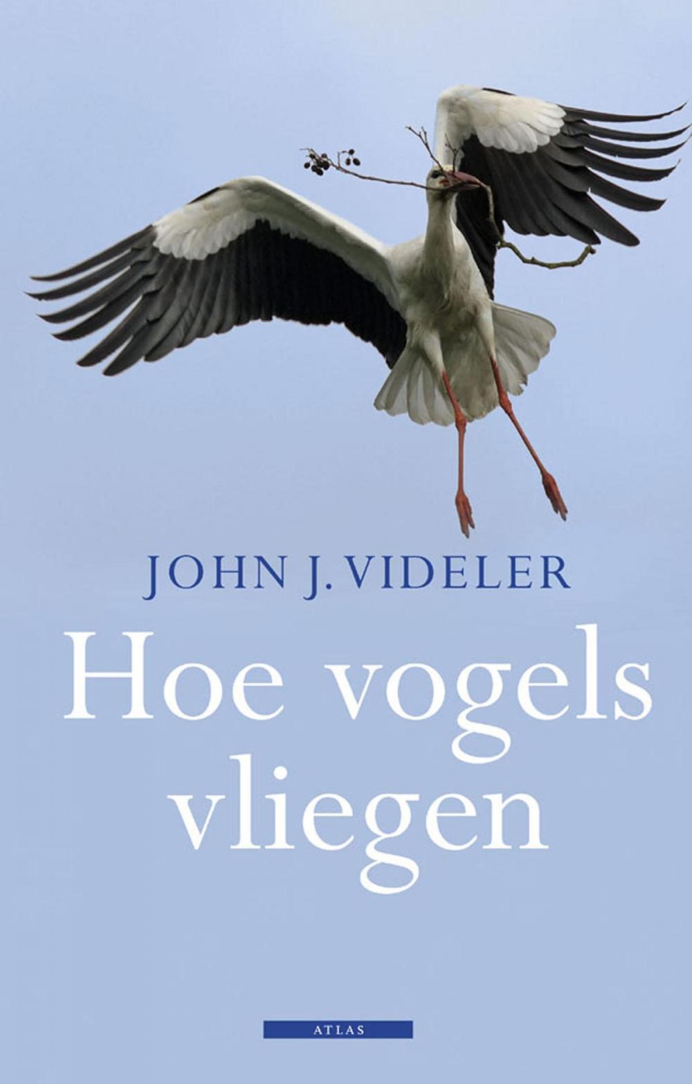 Big bigCover of Hoe vogels vliegen