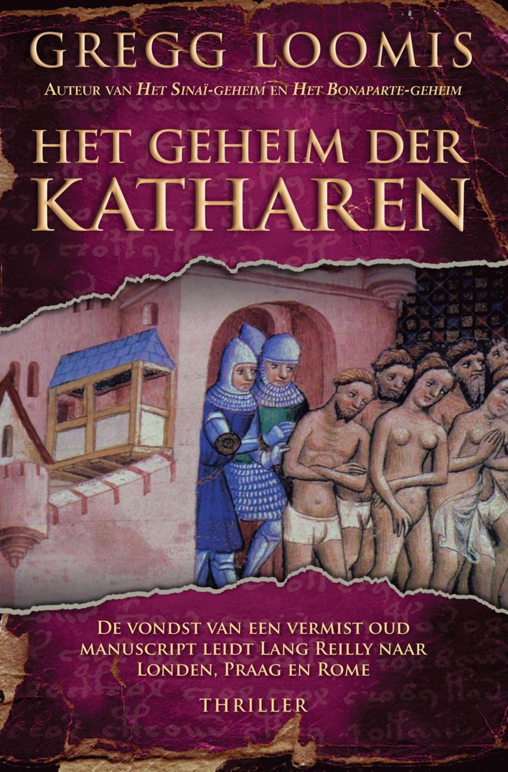 Big bigCover of Het geheim der Katharen